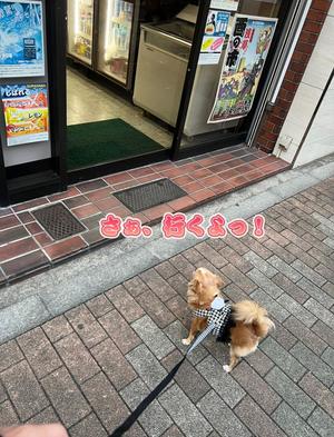 一条彩香の写メ日記｜プレジデントクラブ 吉原高級店ソープ