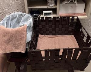 一条彩香の写メ日記｜プレジデントクラブ 吉原高級店ソープ