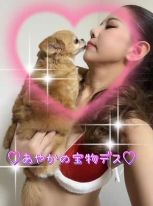 一条彩香の写メ日記｜プレジデントクラブ 吉原高級店ソープ