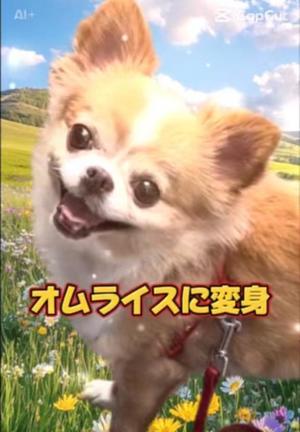 一条彩香の写メ日記｜プレジデントクラブ 吉原高級店ソープ