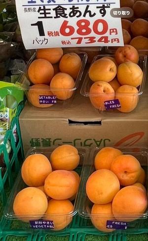 一条彩香の写メ日記｜プレジデントクラブ 吉原高級店ソープ