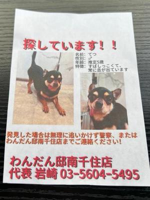 一条彩香の写メ日記｜プレジデントクラブ 吉原高級店ソープ