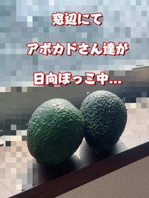 一条彩香の写メ日記｜プレジデントクラブ 吉原高級店ソープ