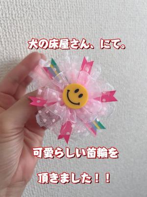一条彩香の写メ日記｜プレジデントクラブ 吉原高級店ソープ