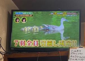 一条彩香の写メ日記｜プレジデントクラブ 吉原高級店ソープ