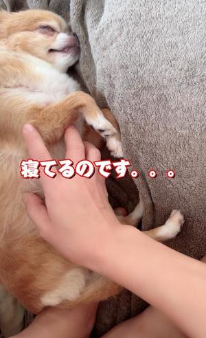 一条彩香の写メ日記｜プレジデントクラブ 吉原高級店ソープ