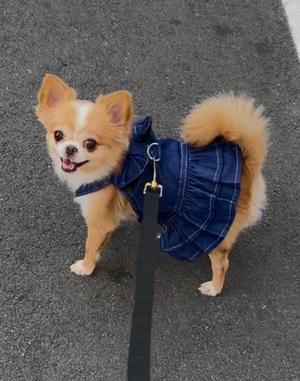 一条彩香の写メ日記｜プレジデントクラブ 吉原高級店ソープ