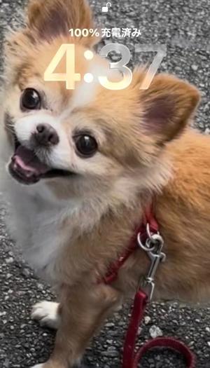一条彩香の写メ日記｜プレジデントクラブ 吉原高級店ソープ