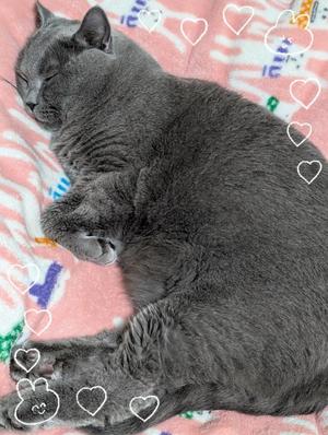 吹石里香の写メ日記｜プレジデントクラブ 吉原高級店ソープ