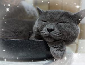 吹石里香の写メ日記｜プレジデントクラブ 吉原高級店ソープ