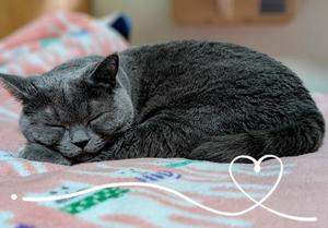 吹石里香の写メ日記｜プレジデントクラブ 吉原高級店ソープ