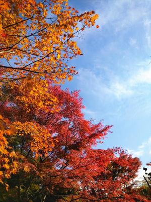 吹石里香の写メ日記｜プレジデントクラブ 吉原高級店ソープ