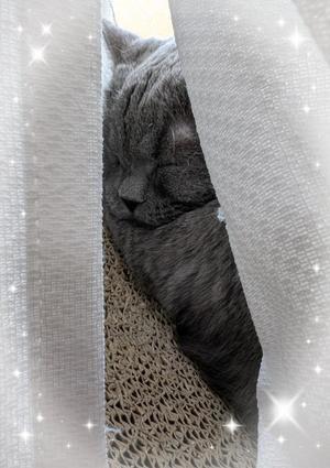 吹石里香の写メ日記｜プレジデントクラブ 吉原高級店ソープ