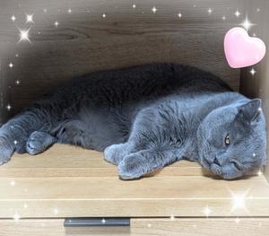 吹石里香の写メ日記｜プレジデントクラブ 吉原高級店ソープ