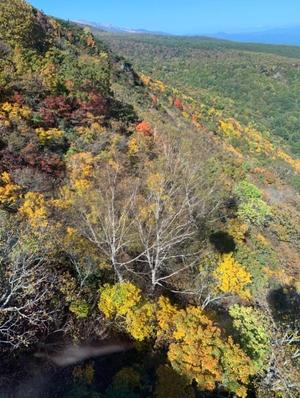 竹下夢路の写メ日記｜プレジデントクラブ 吉原高級店ソープ