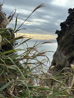 竹下夢路の写メ日記｜プレジデントクラブ 吉原高級店ソープ