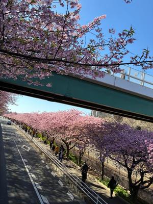 竹下夢路の写メ日記｜プレジデントクラブ 吉原高級店ソープ