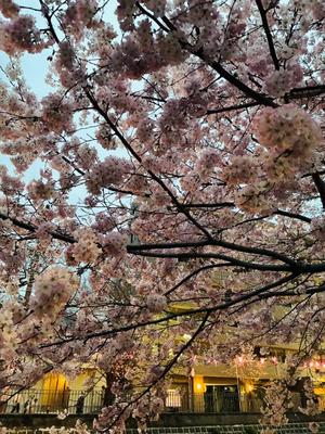 竹下夢路の写メ日記｜プレジデントクラブ 吉原高級店ソープ