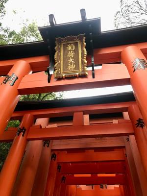 松嶋那々の写メ日記｜プレジデントクラブ 吉原高級店ソープ