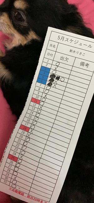 新木りさこの写メ日記｜プレジデントクラブ 吉原高級店ソープ