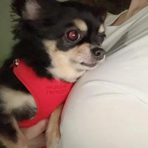 新木りさこの写メ日記｜プレジデントクラブ 吉原高級店ソープ