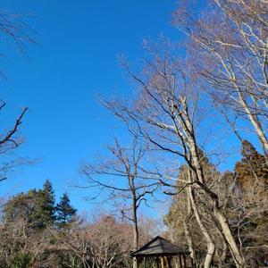 蒼井海久の写メ日記｜プレジデントハウス 吉原大衆店ソープ