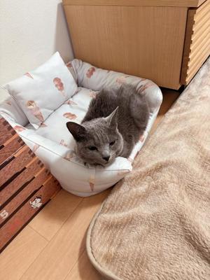 有村もえの写メ日記｜プレジデントハウス 吉原大衆店ソープ