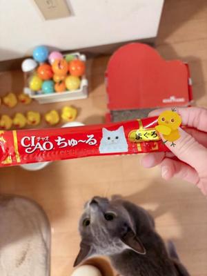 有村もえの写メ日記｜プレジデントハウス 吉原大衆店ソープ