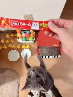 有村もえの写メ日記｜プレジデントハウス 吉原大衆店ソープ