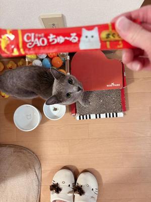 有村もえの写メ日記｜プレジデントハウス 吉原大衆店ソープ