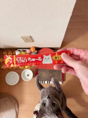 有村もえの写メ日記｜プレジデントハウス 吉原大衆店ソープ