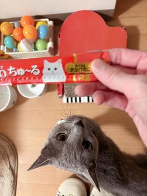 有村もえの写メ日記|プレジデントハウス 吉原大衆店ソープ
