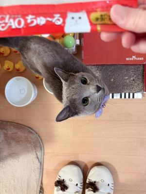 有村もえの写メ日記|プレジデントハウス 吉原大衆店ソープ