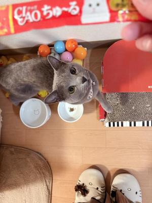 有村もえの写メ日記｜プレジデントハウス 吉原大衆店ソープ