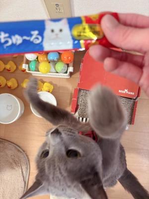 有村もえの写メ日記｜プレジデントハウス 吉原大衆店ソープ