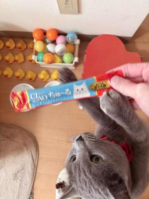 有村もえの写メ日記｜プレジデントハウス 吉原大衆店ソープ