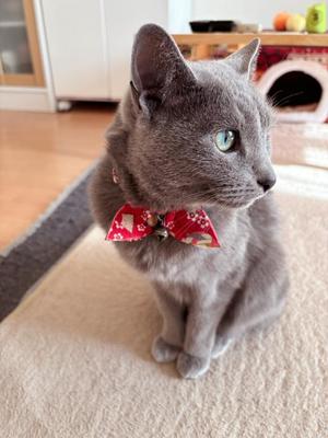 有村もえの写メ日記｜プレジデントハウス 吉原大衆店ソープ