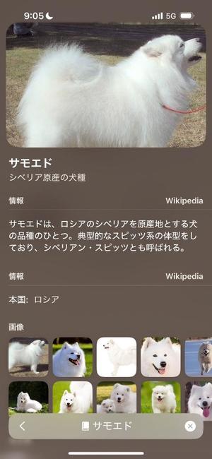 有村もえの写メ日記｜プレジデントハウス 吉原大衆店ソープ