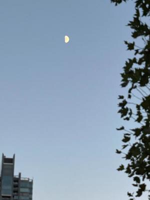 葉月美優の写メ日記｜プレジデントハウス 吉原大衆店ソープ