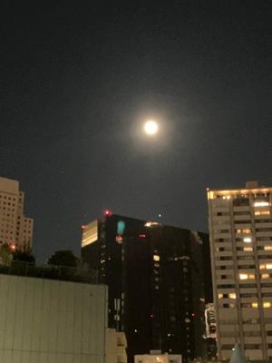 葉月美優の写メ日記｜プレジデントハウス 吉原大衆店ソープ