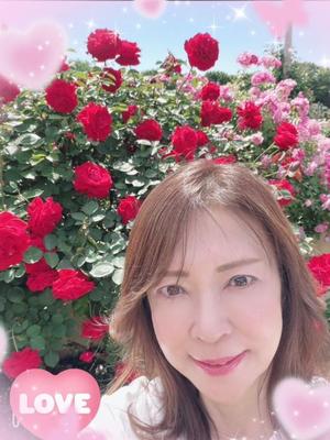 葉月美優の写メ日記｜プレジデントハウス 吉原大衆店ソープ