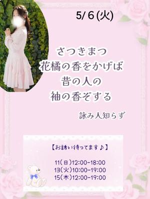 瀬戸麻莉子の写メ日記｜プレジデントハウス 吉原大衆店ソープ