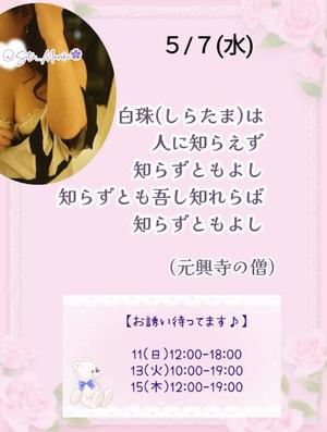瀬戸麻莉子の写メ日記｜プレジデントハウス 吉原大衆店ソープ
