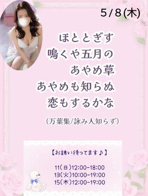 瀬戸麻莉子の写メ日記｜プレジデントハウス 吉原大衆店ソープ