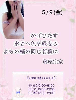 瀬戸麻莉子の写メ日記｜プレジデントハウス 吉原大衆店ソープ