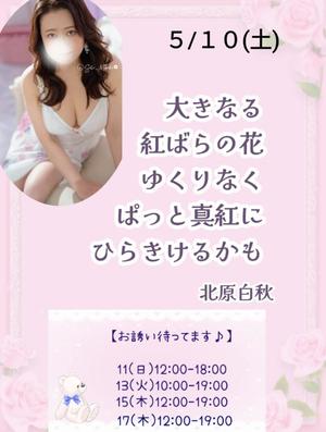 瀬戸麻莉子の写メ日記｜プレジデントハウス 吉原大衆店ソープ