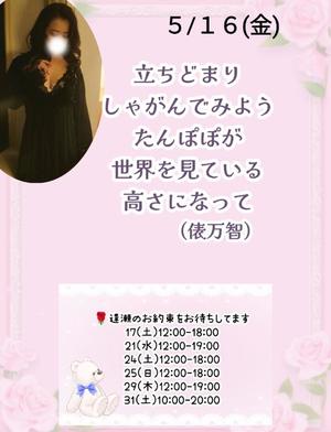 瀬戸麻莉子の写メ日記｜プレジデントハウス 吉原大衆店ソープ