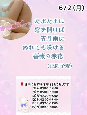 瀬戸麻莉子の写メ日記｜プレジデントハウス 吉原大衆店ソープ