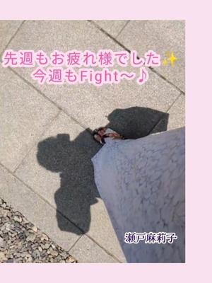 瀬戸麻莉子の写メ日記｜プレジデントハウス 吉原大衆店ソープ