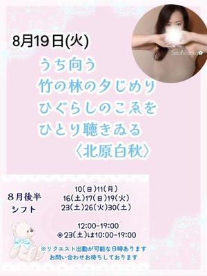 瀬戸麻莉子の写メ日記｜プレジデントハウス 吉原大衆店ソープ